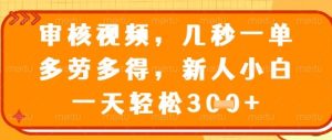 “揭秘视频审核员：秒接单、多劳多得，新手日赚百元+”-小伟资源网