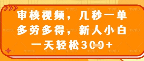“揭秘视频审核员：秒接单、多劳多得，新手日赚百元+”-小伟资源网