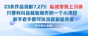 23条作品狂吸7.2W粉，抖音私域变现破万的爆款秘籍-小伟资源网