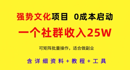 \”0成本暴利社群项目：25W收入实操指南，矩阵批量复制攻略\”-小伟资源网