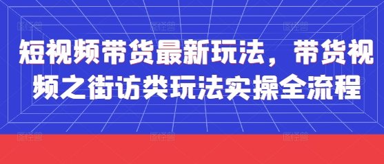 街访短视频带货全流程实操：最新玩法大揭秘-小伟资源网