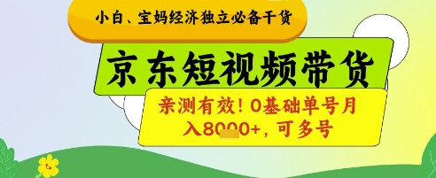 \”0基础宝妈京东带货月入8k+秘籍，多号操作亲测有效！\”-小伟资源网