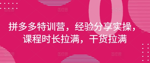 \”拼多多特训营：2024最新实操干货全解析（4月更新版）\”-小伟资源网