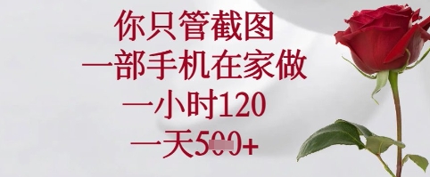 手机截图轻松赚钱：日入120+，在家1小时搞定5单【揭秘】-小伟资源网
