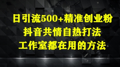抖音创业粉日引500+秘籍：共情自热打法全解析-小伟资源网