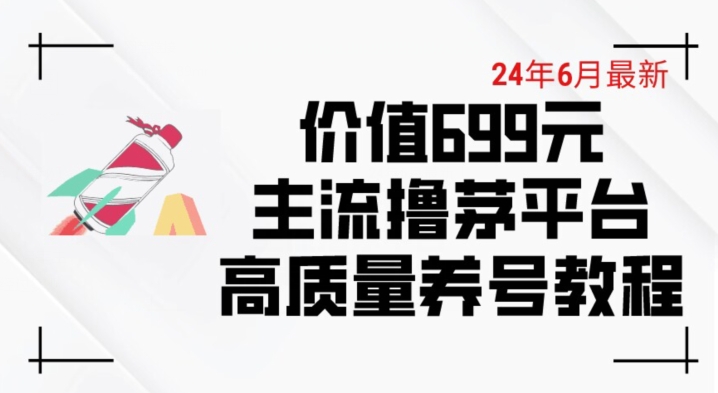 \”6月撸茅台精品攻略：699元平台养号下车技巧【揭秘】\”-小伟资源网