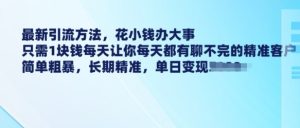 1元引流术：低成本高转化，精准客户源源不断-小伟资源网