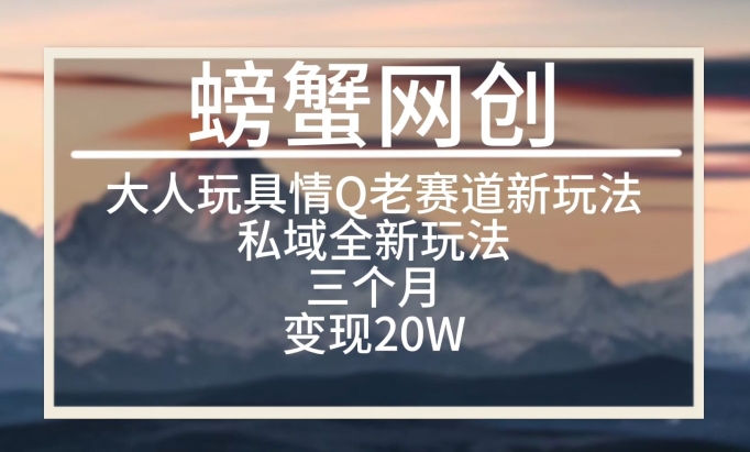 \”成人用品私域3个月赚20万：老项目新玩法大揭秘\”-小伟资源网