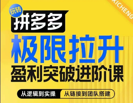 \”拼多多盈利突破实战课：算法+玩法+团队搭建，系统化提升商家利润\”-小伟资源网