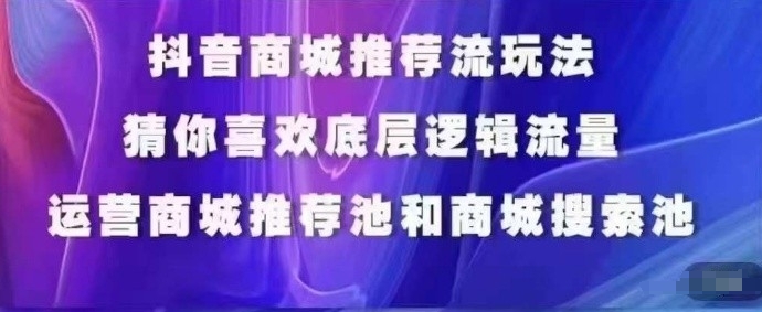 \”抖音商城运营必修课：猜你喜欢+搜索推荐+人群标签全攻略\”-小伟资源网
