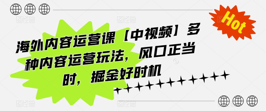 \”海外中视频运营掘金指南：风口玩法全解析\”-小伟资源网