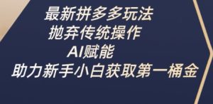 AI赋能拼多多新玩法：新手小白轻松赚取第一桶金-小伟资源网