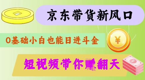 京东短视频带货代运营全攻略：揭秘轻松赚钱秘籍-小伟资源网
