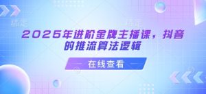 2025抖音金牌主播必修课：揭秘推流算法底层逻辑-小伟资源网