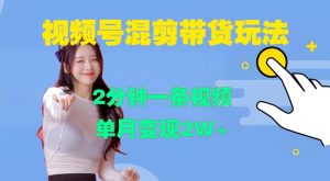 视频号混剪秘籍：2分钟速成，月入2W+实战攻略-小伟资源网