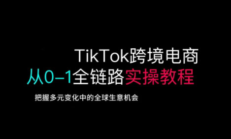 \”TikTok跨境电商0-1全流程实战指南：抓住全球商机新风口\”-小伟资源网