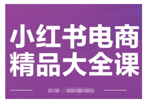 \”小红书电商运营速成课：精准引流爆单技巧全攻略（2月新版）\”-小伟资源网
