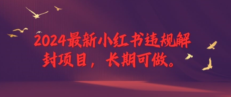 2024小红书违规解封项目：长期稳定，轻松做到退休【独家揭秘】-小伟资源网