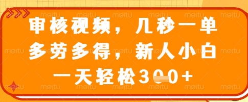 \”揭秘：新手日赚300+，视频审核兼职秒结多劳多得！\”-小伟资源网