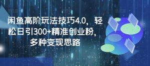 《闲鱼高阶引流术：日引300+创业粉，轻松变现秘籍》-小伟资源网
