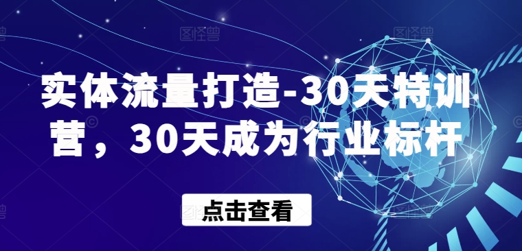 \”30天实体流量特训营：快速打造行业标杆\”-小伟资源网