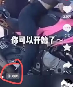 2024苹果手机GIF动图高效搬运技巧-小伟资源网