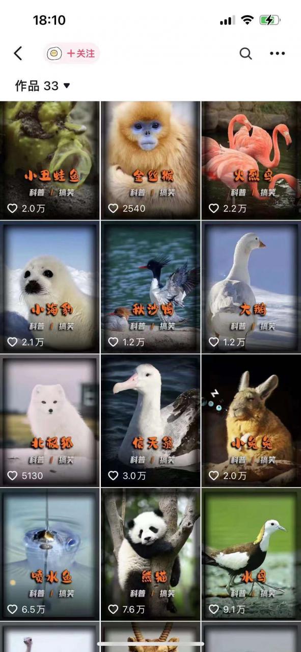 动物科普创作全流程教学:从入门到变现的系统课程