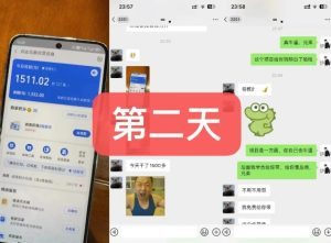 3天狂赚2720元!货币掘金新项目内测招募,仅限10席速抢-小伟资源网