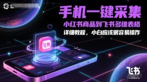 小红书商品一键导入飞书表格,超详细教程轻松上手-小伟资源网