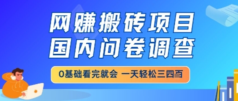 \”国内问卷调查搬砖项目，新手日赚三四单轻松上手【实操指南】\”-小伟资源网