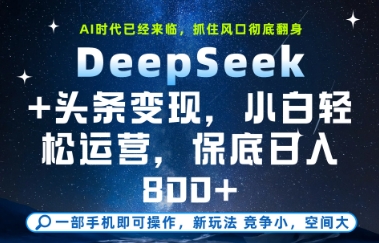 \”DeepSeek+头条变现全攻略：新手日赚800+实操教程\”-小伟资源网