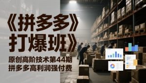 《拼多多高利润强付费打法：第44期高阶运营实战课》-小伟资源网