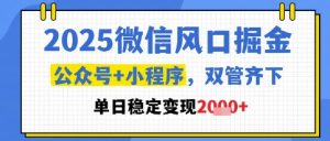 2025微信暴利玩法:公众号+小程序日赚1000+实战攻略-小伟资源网