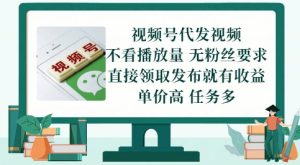 “视频号代发躺赚攻略：免制作零门槛，发布即收益”-小伟资源网