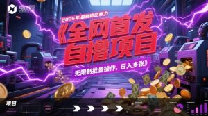 2025年全自动暴利项目揭秘：无限制批量操作，日赚多张-小伟资源网