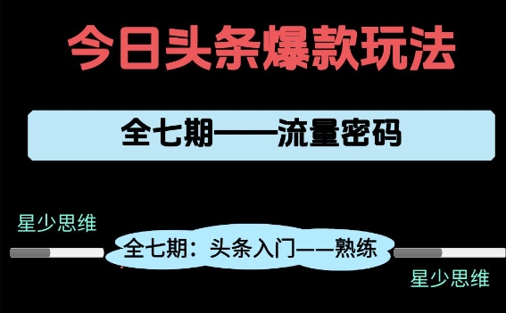 \”新手必看！头条7期项目拆解：0-1全流程避坑指南（干货版）\”-小伟资源网