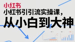 《小红书涨粉变现实战：零基础速成引流高手》-小伟资源网