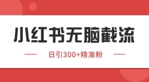 小红书截流同行日引200+客源,独家野路子暴力获客全揭秘-小伟资源网