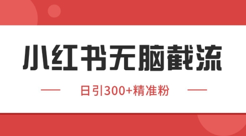 小红书截流同行日引200+客源，独家野路子暴力获客全揭秘-小伟资源网