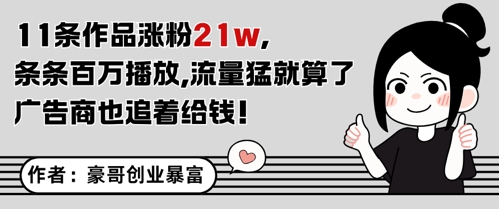 11条爆款狂揽21W粉，百万播放+广告商疯抢-小伟资源网