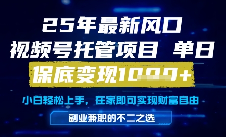 \”视频号托管暴利项目：日赚1K+实操指南【25年新风口揭秘】\”-小伟资源网