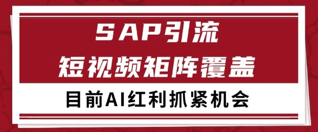 \”小红书抖音SAP赛道日引200+精准客源，自热矩阵玩法全揭秘\”-小伟资源网