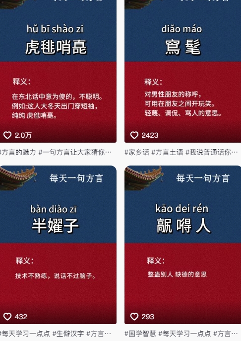 \”抖音方言图文爆粉术：126个作品狂揽11W粉丝，最新涨粉玩法全解析\”-小伟资源网