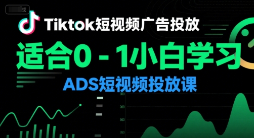 \”零基础入门TikTok广告投放：小白必学的短视频ADS实战课\”-小伟资源网