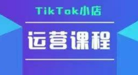 \”TikTok小店运营实战课：从入门到精通+疑难解答\”-小伟资源网