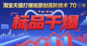 淘宝天猫爆款速成班第70期：标品引爆高阶技巧-小伟资源网