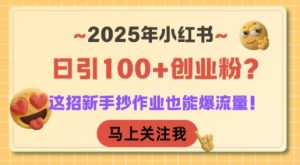2025小红书创业粉日引100+秘籍，新手速抄轻松爆流量！-小伟资源网