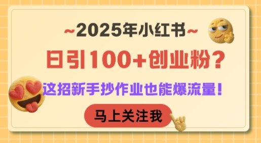2025小红书创业粉日引100+秘籍，新手速抄轻松爆流量！-小伟资源网