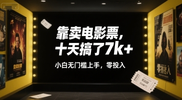 \”零成本电影票副业：小白10天狂赚7k+，无门槛上手攻略\”-小伟资源网