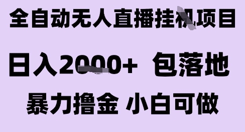 \”抖音无人直播暴利项目揭秘：日赚2K+全自动操作，新手轻松上手\”-小伟资源网